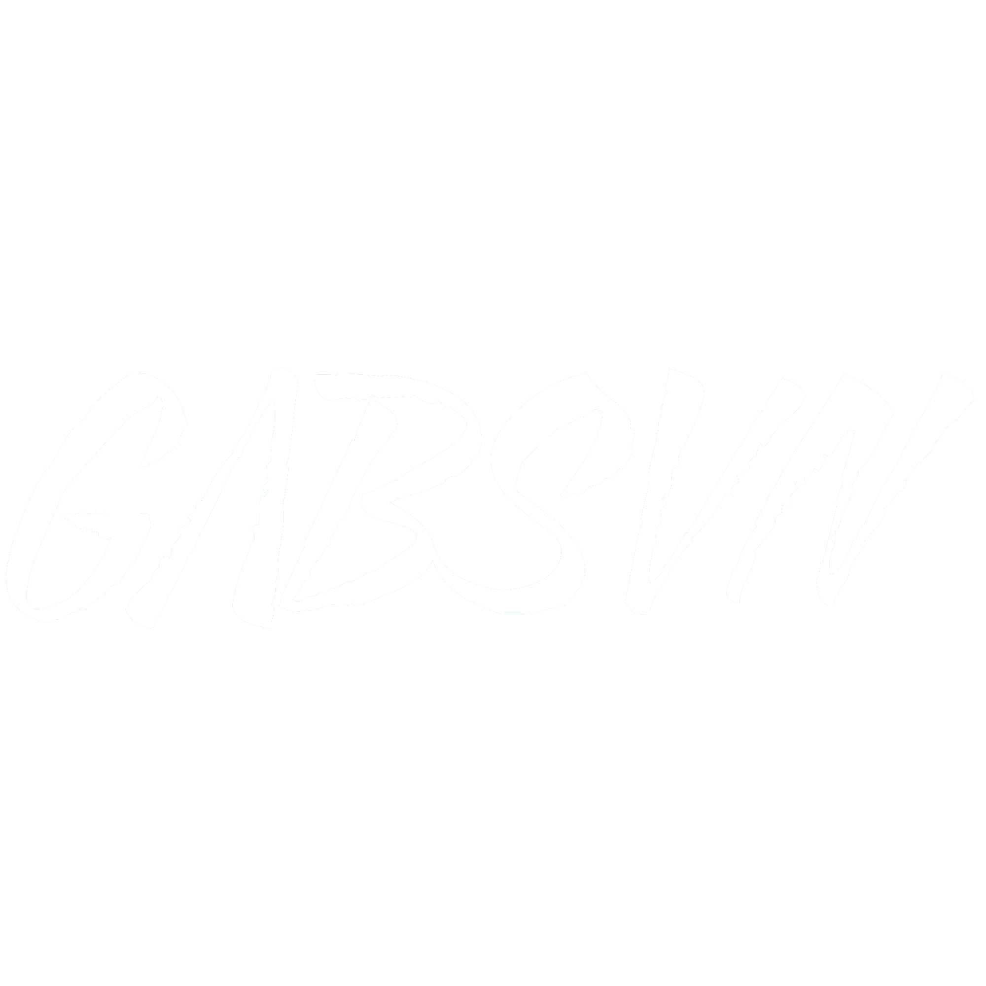 Logo officiel GΛBSVN Development
